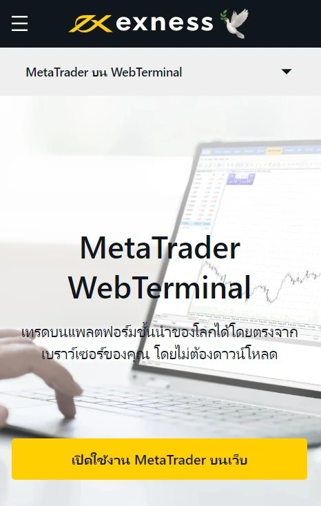 Exness MetaTrader WebTerminal.
